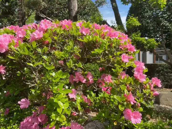 美奈宜神社(福岡県)