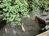 光明寺瑠璃光院(京都府)