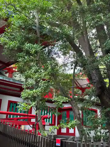 富岡八幡宮の本殿・本堂