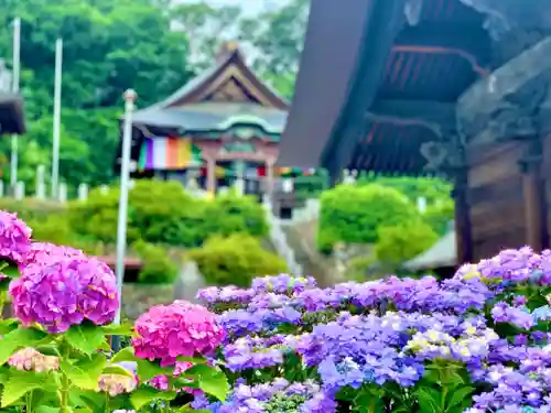 埼玉厄除け開運大師・龍泉寺（切り絵御朱印発祥の寺）の自然