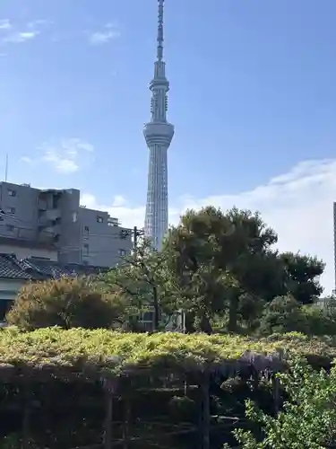 亀戸天神社(東京都)