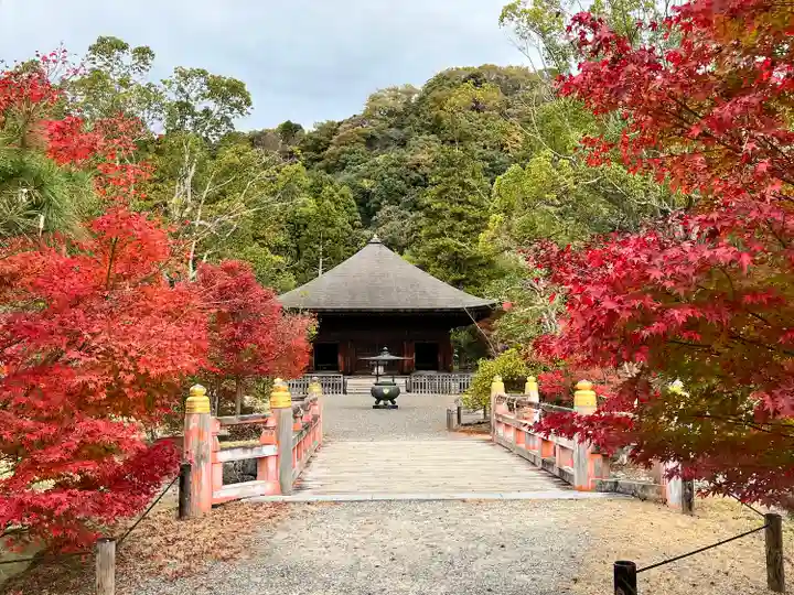 白水阿弥陀堂の本殿・本堂