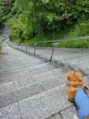 谷山神社(鹿児島県)