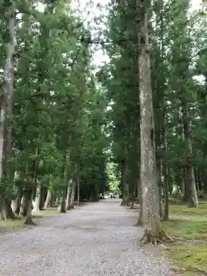 大斎原（熊野本宮大社旧社地）(和歌山県)