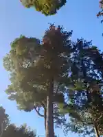 息栖神社(茨城県)