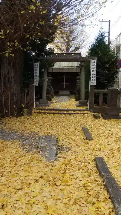 慈恵稲荷神社(埼玉県)