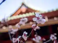 赤坂氷川神社(東京都)