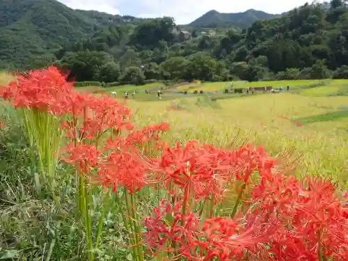 明智寺の自然