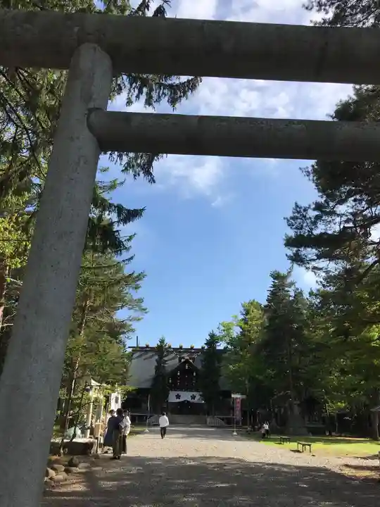 上川神社の鳥居