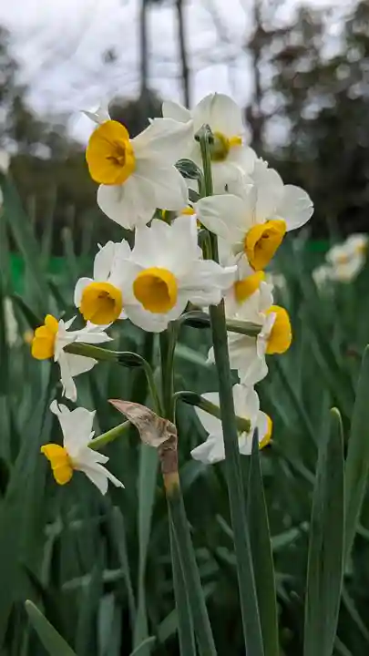 惠心院(京都府)