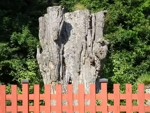 鶴岡八幡宮の自然