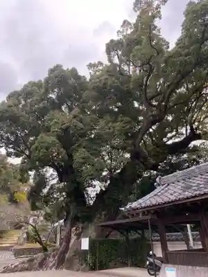 粉河寺(和歌山県)