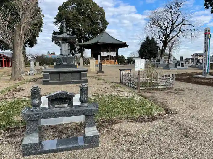 下野薬師寺 (旧 安國寺)(栃木県)