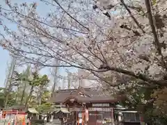 阿部野神社(大阪府)