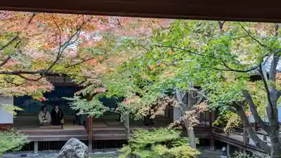 建仁寺（建仁禅寺）(京都府)