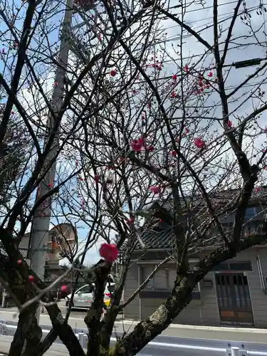 新川神社の自然