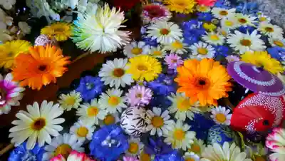 札幌諏訪神社の手水舎