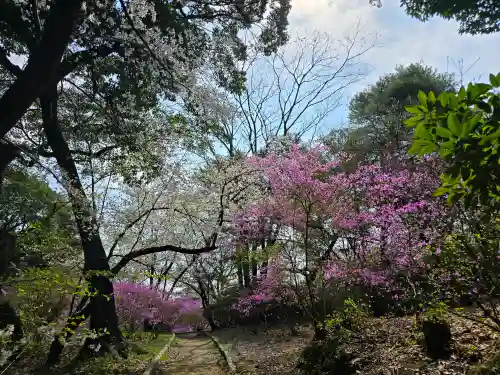 廣田神社(兵庫県)