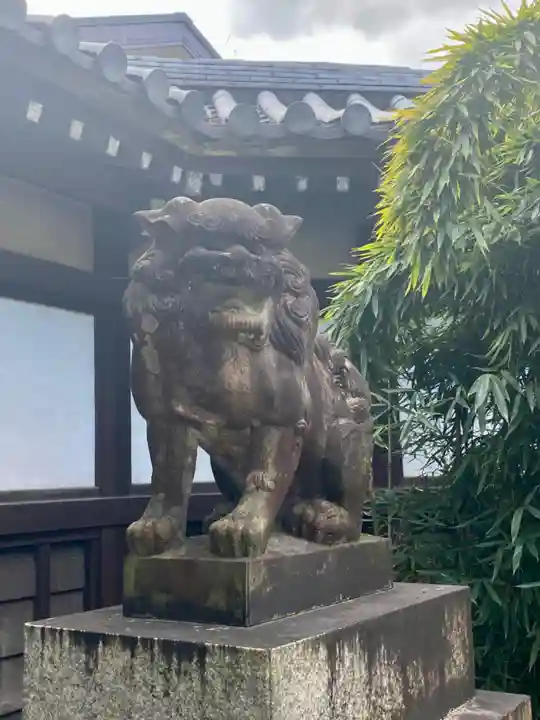京都乃木神社の狛犬