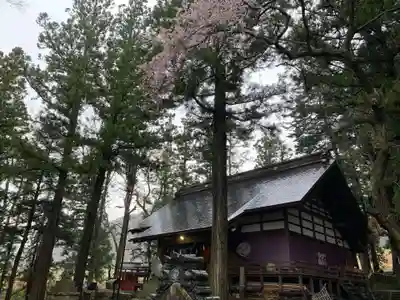 山家神社の本殿・本堂