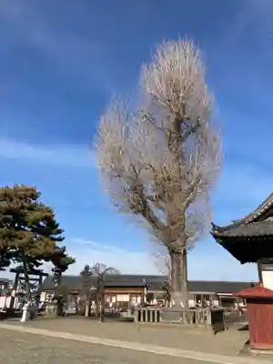 諏訪神社(群馬県)
