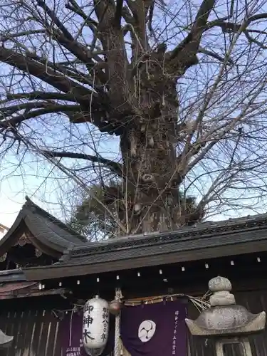 大将軍神社　東三條殿の自然