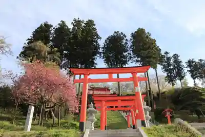 高屋敷稲荷神社の鳥居