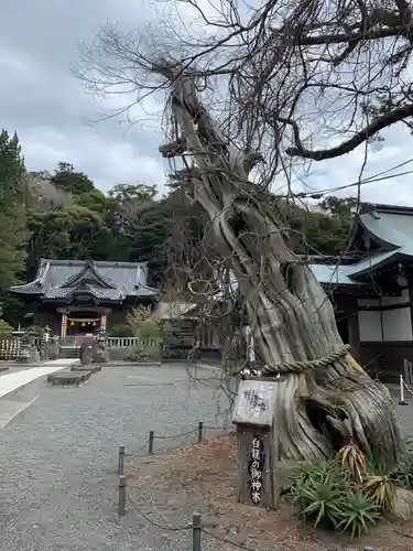 伊古奈比咩命神社のその他建物