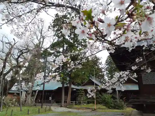 蠶養國神社の自然