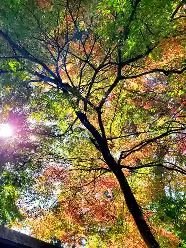 石都々古和気神社の自然