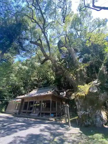 水神社(福岡県)
