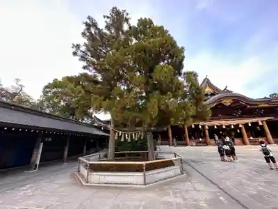 寒川神社(神奈川県)