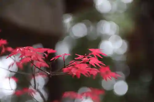 滑川神社 - 仕事と子どもの守り神の自然