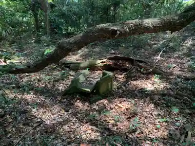 稲荷神社(千葉県)