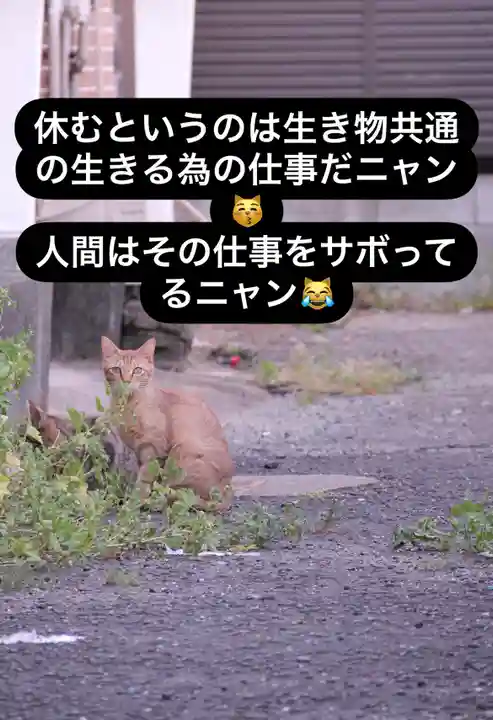 専念寺の動物