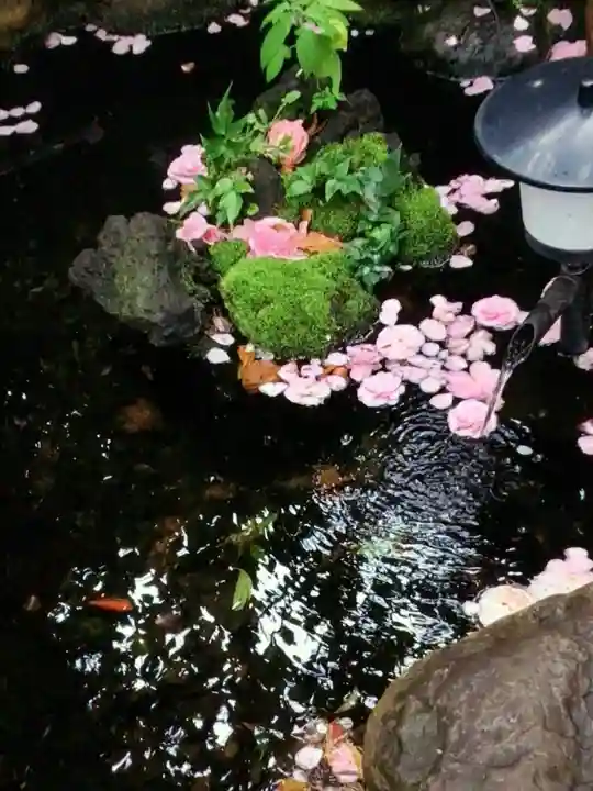 神明氷川神社(東京都)
