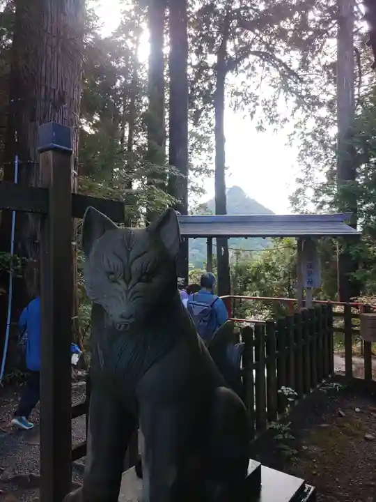 武蔵御嶽神社の狛犬