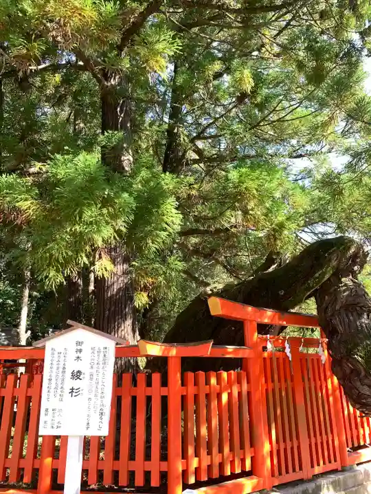 香椎宮(福岡県)