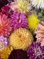 伊和志津神社の自然