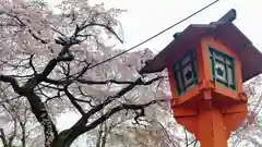 平野神社(京都府)