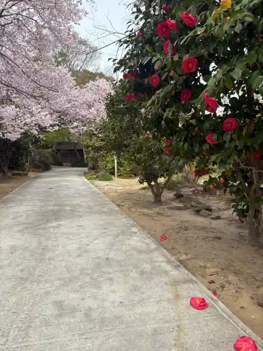 花岳寺の{uncategorized: "未分類", other: "その他", undefined: "問題あり", building: "その他建物", grave: "お墓", sacred_gate: "鳥居", guardian: "狛犬", statue: "像", buddha: "仏像", history: "歴史", nature: "自然", garden: "庭園", animal: "動物", pagoda: "塔", temizu: "手水舎", mountain_gate: "山門・神門", sanctuary: "本殿・本堂", subordinate: "末社・摂社", art: "芸術", scenery: "景色", jizo: "地蔵", ema: "絵馬", goshuin: "御朱印", omikuji: "おみくじ", items: "授与品その他", amulet: "お守り", goshuincho: "御朱印帳", eats: "食事", festival: "お祭り", votive_dance: "神楽", shichigosan: "七五三参", wedding: "結婚式", experience: "体験その他", initially: "初詣", around: "周辺", anti_infection: "感染症対策"}