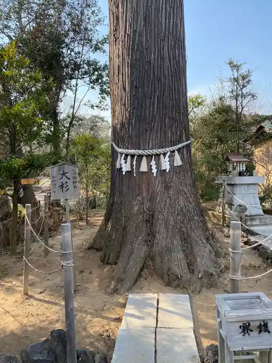 鶴峯八幡宮(千葉県)