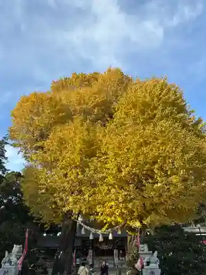 亀ケ池八幡宮(神奈川県)