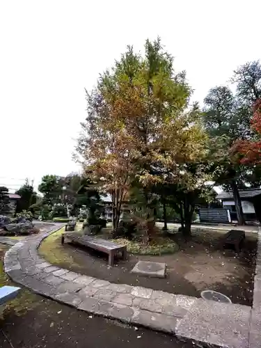 小川寺(東京都)