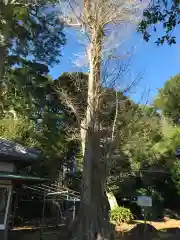 飽富神社(千葉県)