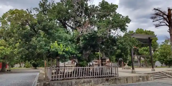 神服神社(大阪府)