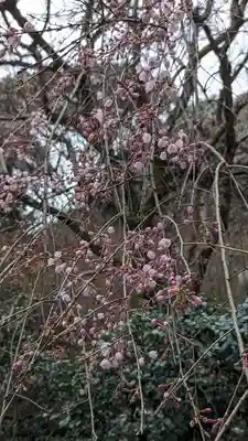 大豊神社(京都府)