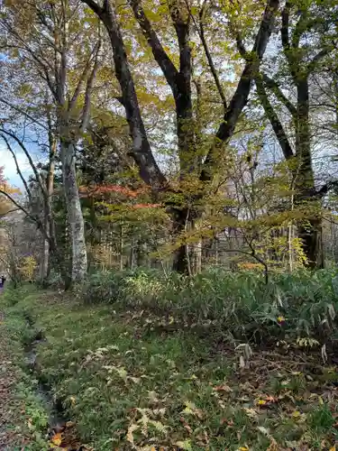 戸隠神社九頭龍社(長野県)