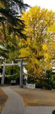 葛西神社の鳥居