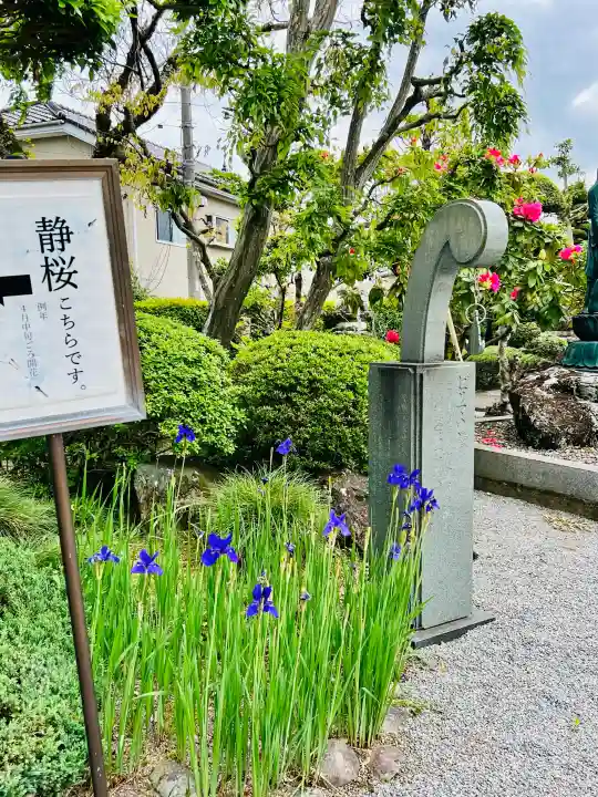 光明寺(栃木県)